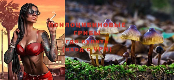 стафф Белокуриха
