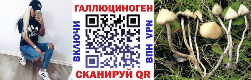 Галлюциногенные грибы ЛСД  даркнет сайт  Абакан 